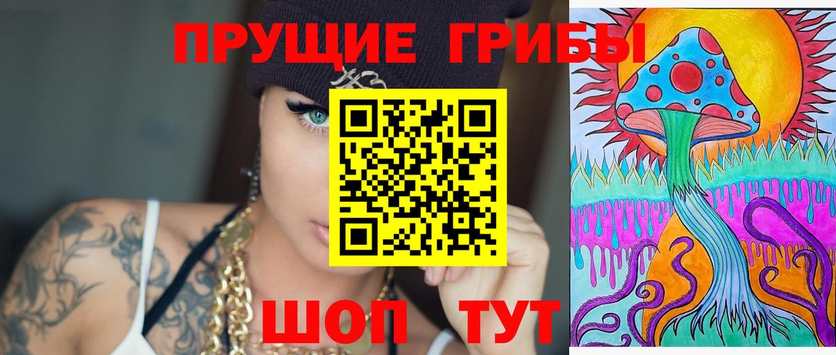 Псилоцибиновые грибы мухоморы  Вход с VPN  Бор  Псилоцибиновые грибы Psilocybe 